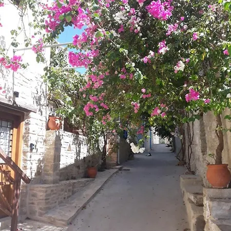 Kritikies Elaia Casa rural
