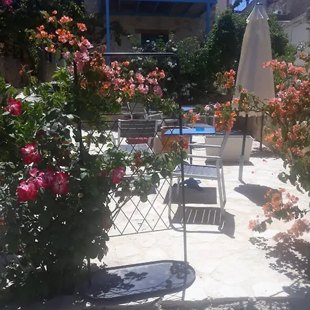 Kritikies Elaia Casa rural Pitsidia