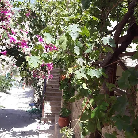 Casa rural Kritikies Elaia Pitsidia