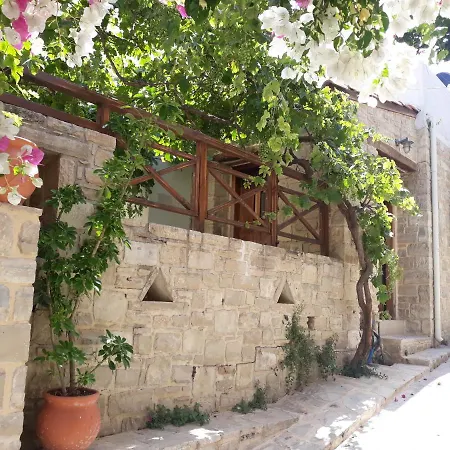 Kritikies Elaia Casa rural